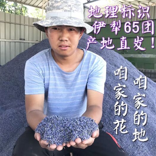 霍城县薰衣草干花