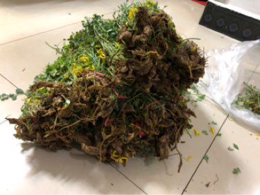 黄莲花