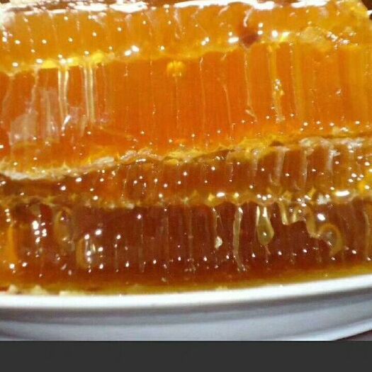 新平县土蜂蜜 塑料瓶装 1年 80%以上