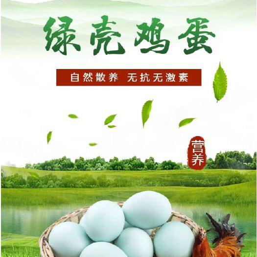 三都县绿壳鸡蛋  食用 礼盒装 生态自然散养绿色食品