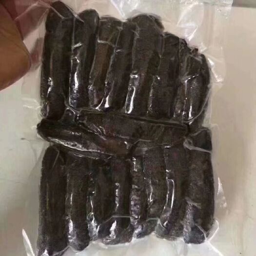 湛江 乌海参