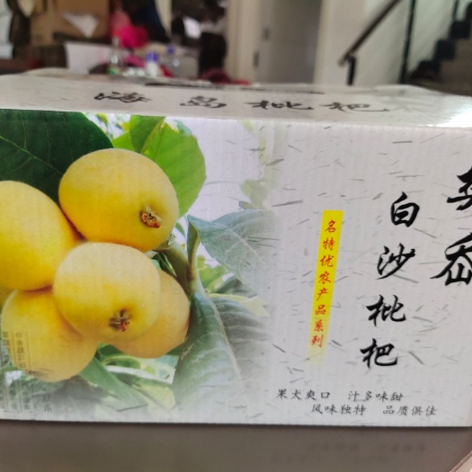 象山县白沙枇杷 0.7 - 1两