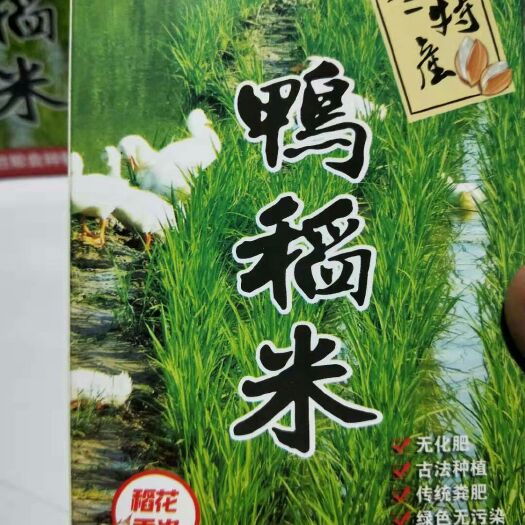 依兰县东北大米 一等品 一季稻 粳米