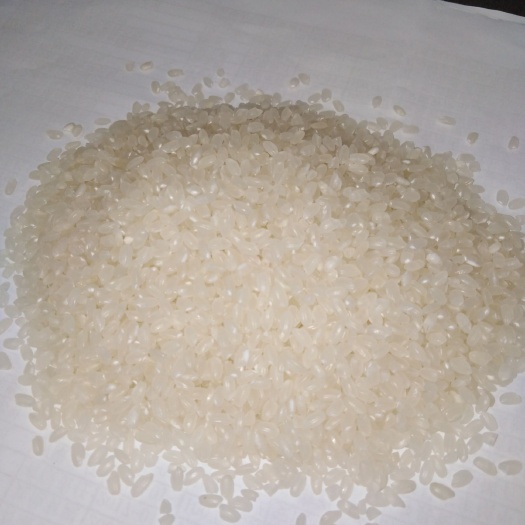 巢湖珍珠米 一等品 中稻 粳米