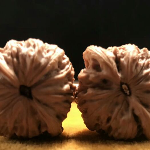 涞水县文玩核桃