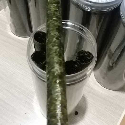 连云港海苔 6-12个月