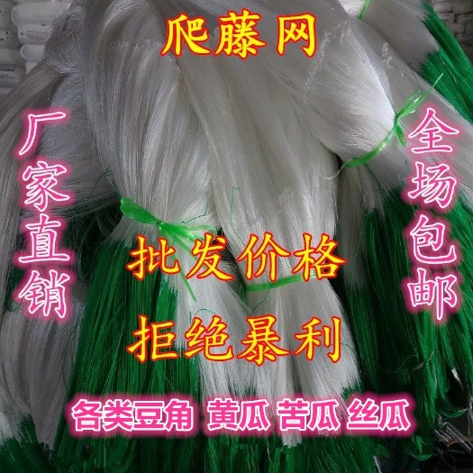 无棣县爬藤网  粗六股植物黄瓜网苦瓜网丝瓜网蔬菜攀爬网芹菜防倒伏网