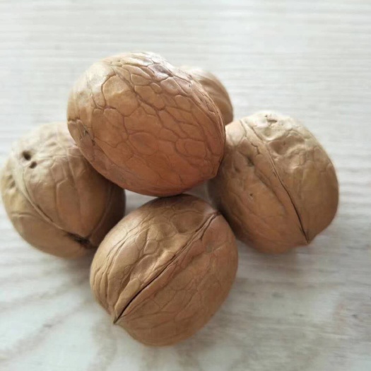深圳红心核桃   大果。精品185