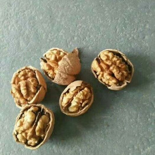 平阴县薄皮核桃