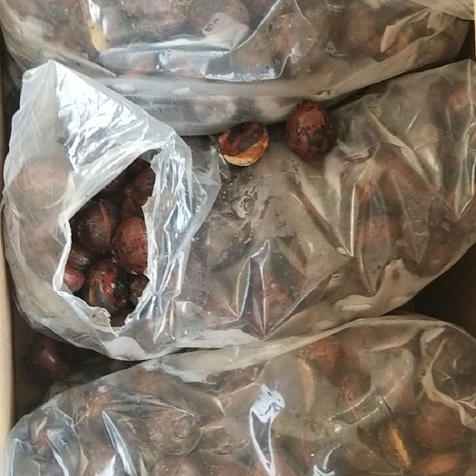 鞍山丹东板栗 特级 特选
