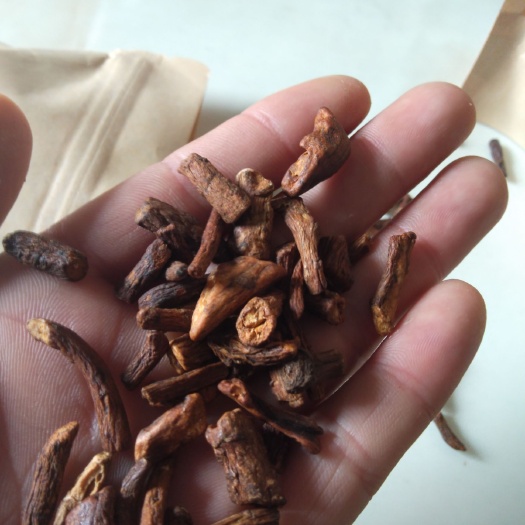 鹿邑县茶根