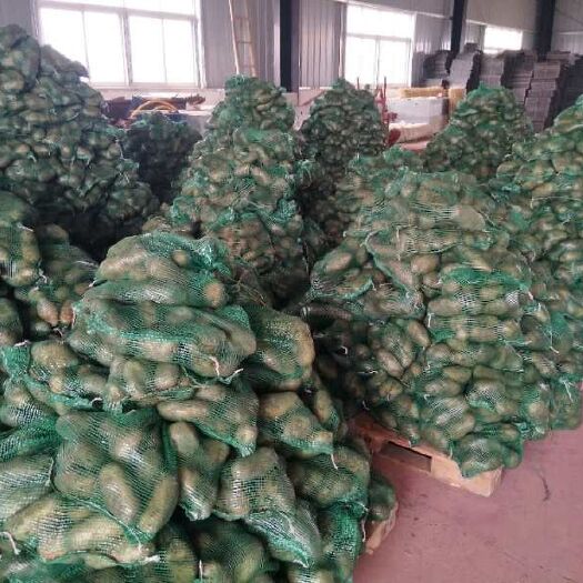 钟祥市荷兰15号土豆 专业订包。