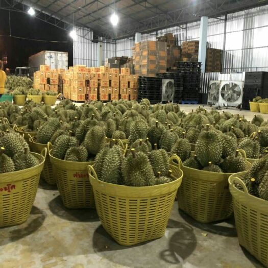 北京 泰国尖竹汶金枕头自家园子直供一级榴莲味道像奶油蛋糕一样好吃