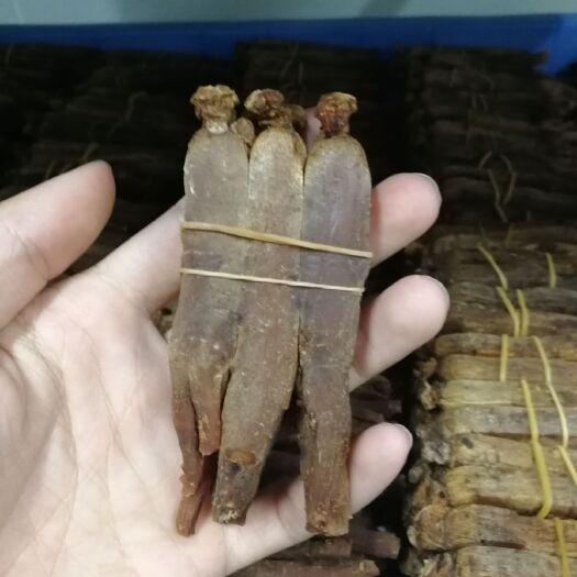 东莞市 红参、高丽参