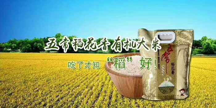 五常市五常大米 五常稻花香农户种植