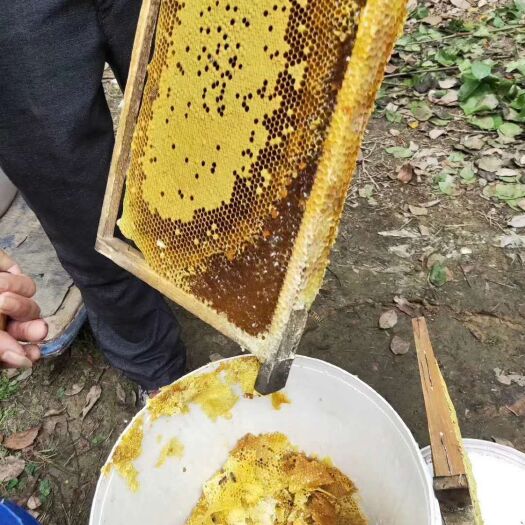 广州荔枝蜜  真心人，做真产品