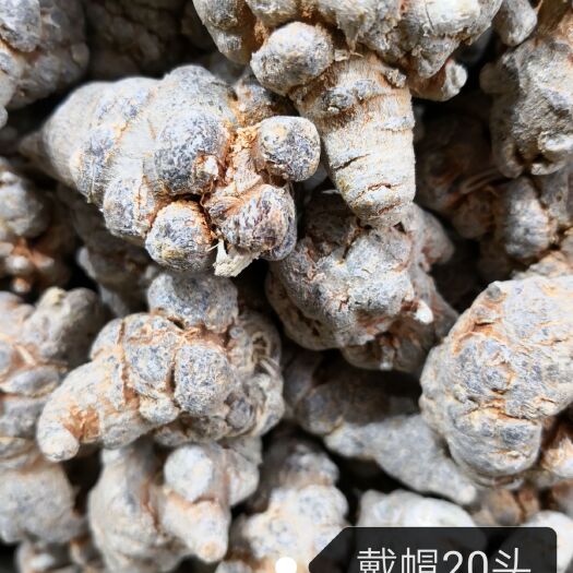 丘北县 正宗文山三七
