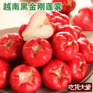 凭祥市 越南莲雾