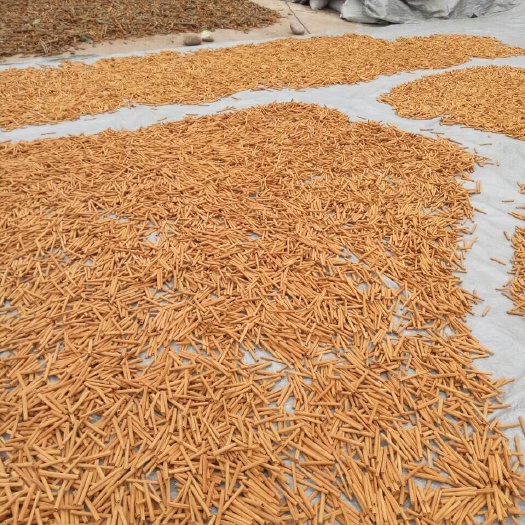 防城港 肉桂名叫（烟仔桂）