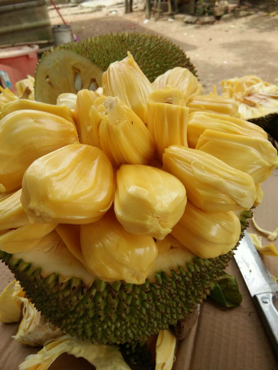 泰国菠萝蜜 一件代发，皮薄肉厚