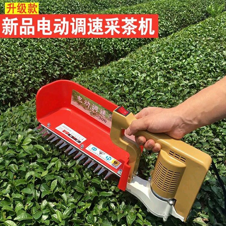 采茶机 单人电动
