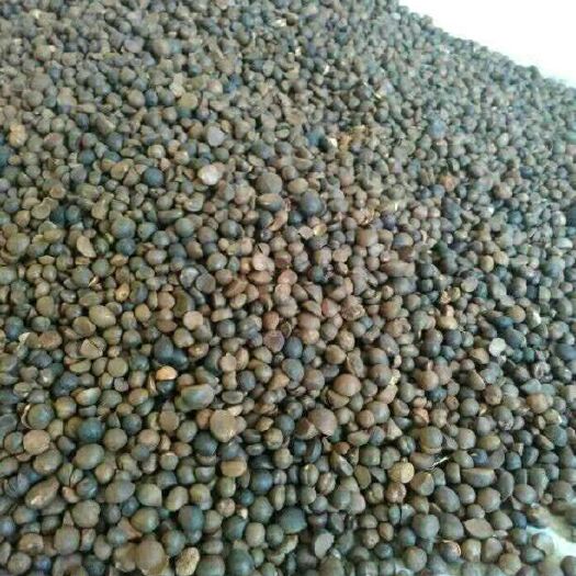 汉寿县野生现榨有机山茶油