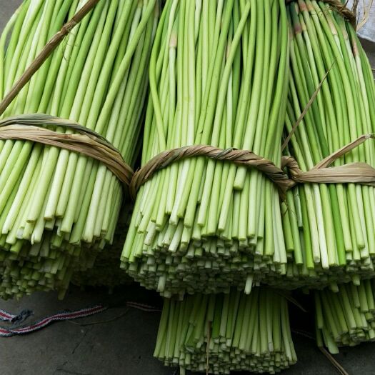邳州市 红帽蒜薹