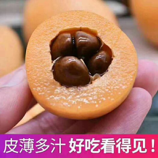 荣县 枇杷
