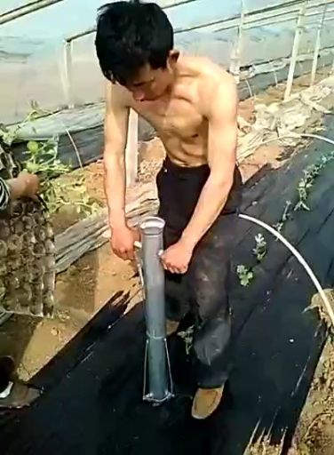 栽苗器