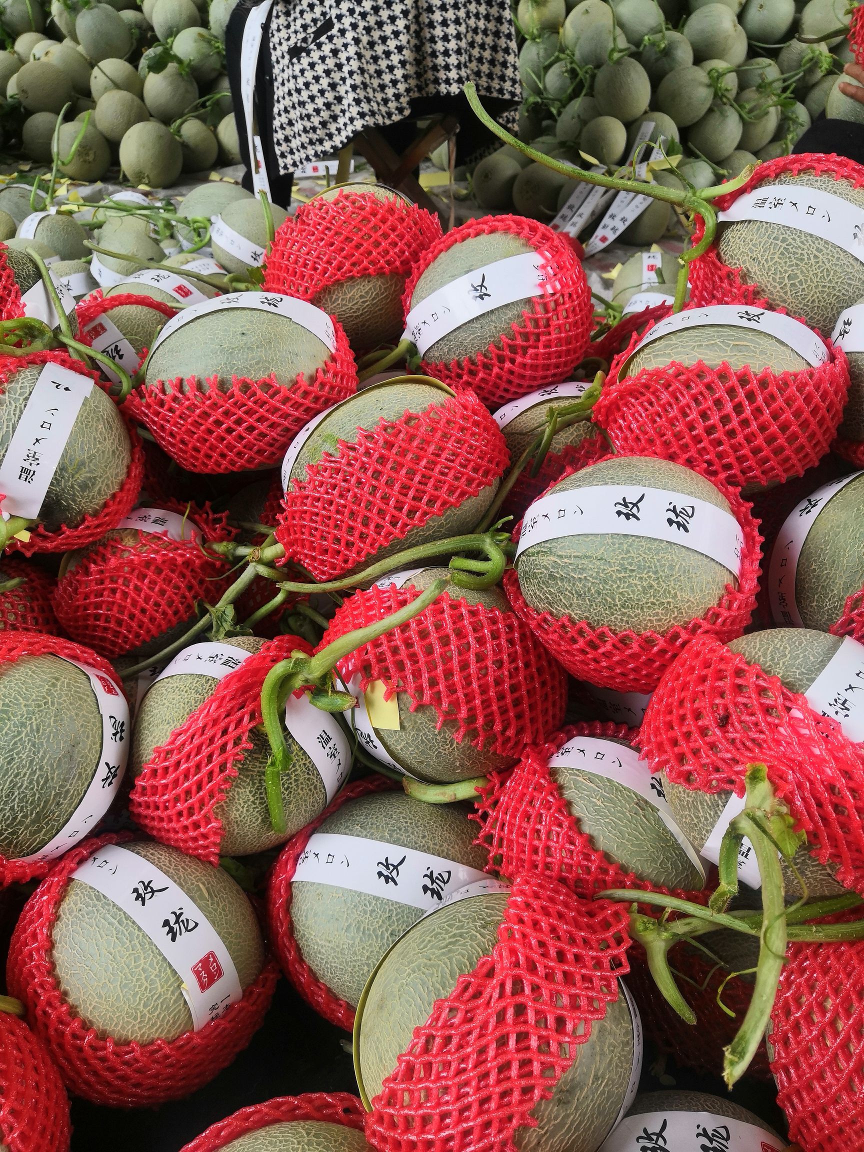 玫珑瓜 1.5斤以上