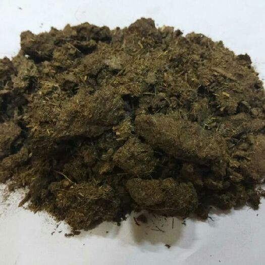 牛粪 晒干块