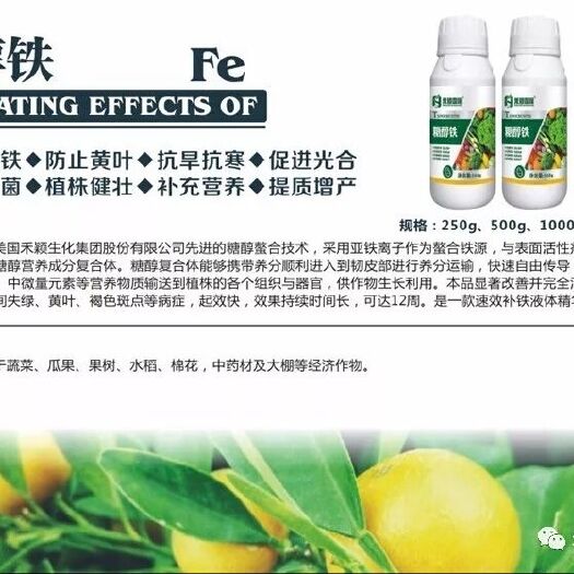 荥阳市螯合肥料  螯合铁