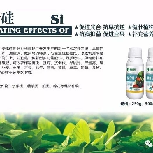 荥阳市硅肥  螯合硅