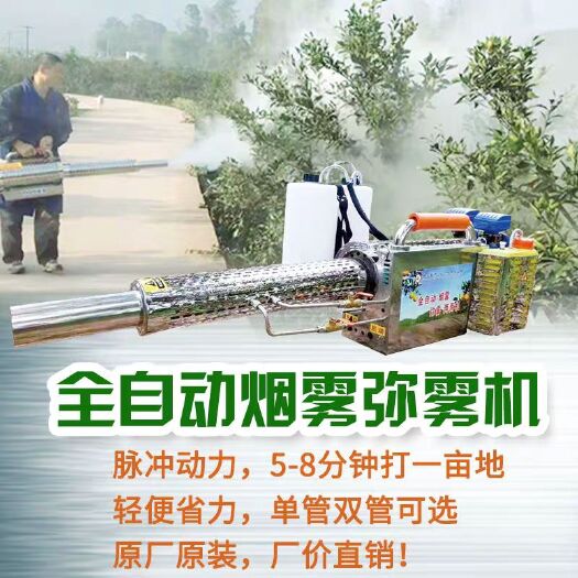 永康市烟雾弥雾机 新款双管一键启动弥雾机烟雾机电打火水雾烟雾两用打药机喷雾器