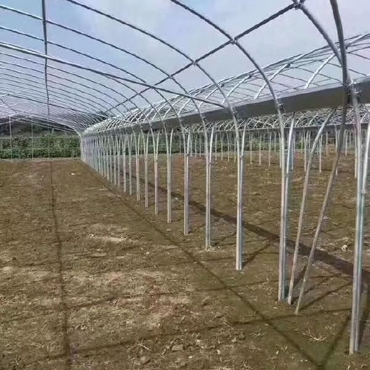 沭阳县种植大棚