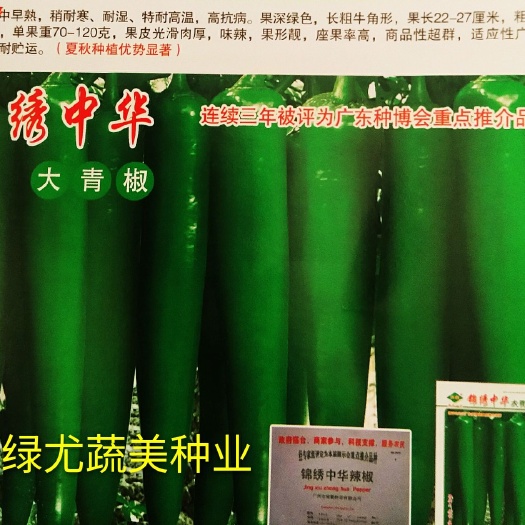 南靖县牛角椒种子  春夏秋露天或者，越冬大棚种植，早中熟。