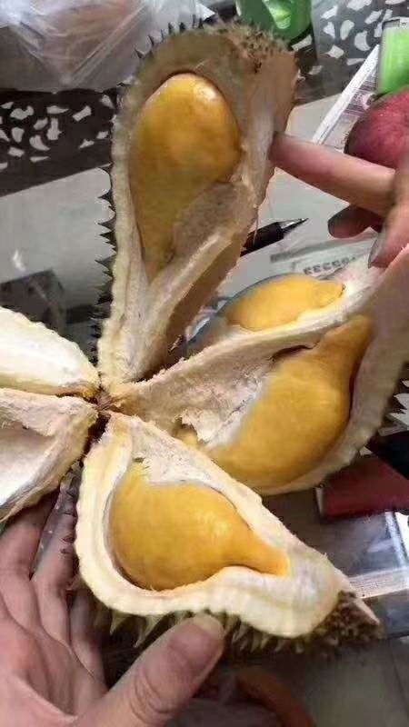 凭祥市 泰国托曼尼榴莲