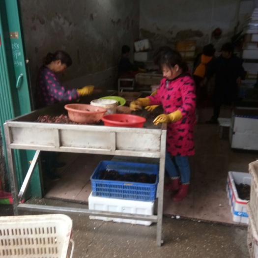 光山县荆州小龙虾 234钱中青品质好，价格优