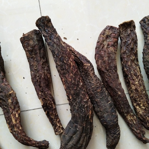 瓜州县 苁蓉30公分以上的长度！！！泡酒的佳品！！！