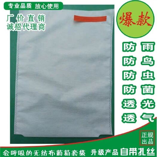 桐城市苹果套袋 桃子，苹果，百香果，葡萄等套袋。双层防水防菌透光透气防鸟