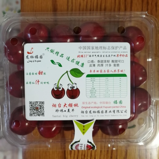 烟台美早樱桃 天然肥料适合儿童孕妇食用