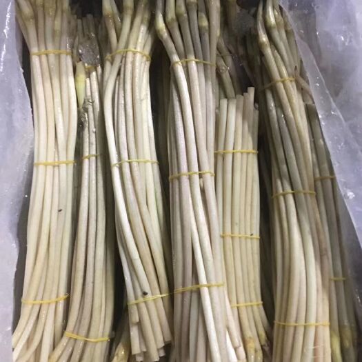 仙桃市藕带 全国各地供货