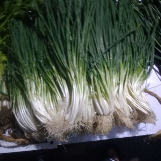 贵阳二红葱 生鲜蔬菜