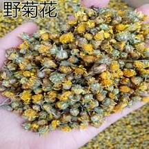 野菊批发采购_野菊供应_野菊价格