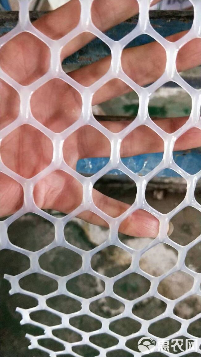 苗床网  育雏网 鸡鸭鹅漏粪网 塑料养殖网 防坠网塑料网格隔