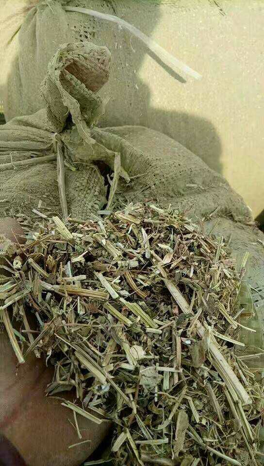 秸秆，花生秧，蛋白质含量高，是养牛羊的最好选择