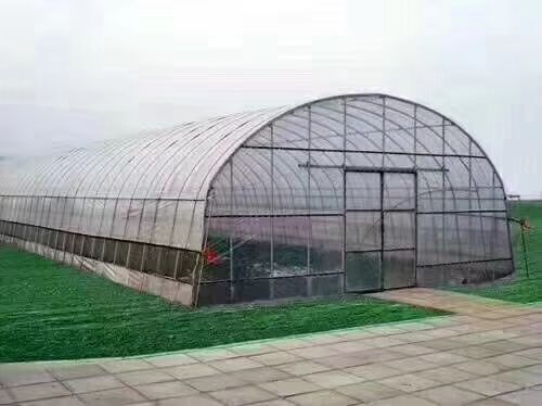 沭阳县椭圆管骨架