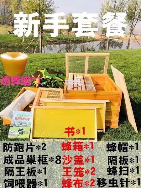 长葛市 新手中蜂蜂箱套餐养蜂工具蜂具全套标准抛光杉木煮蜡蜂箱巢础巢