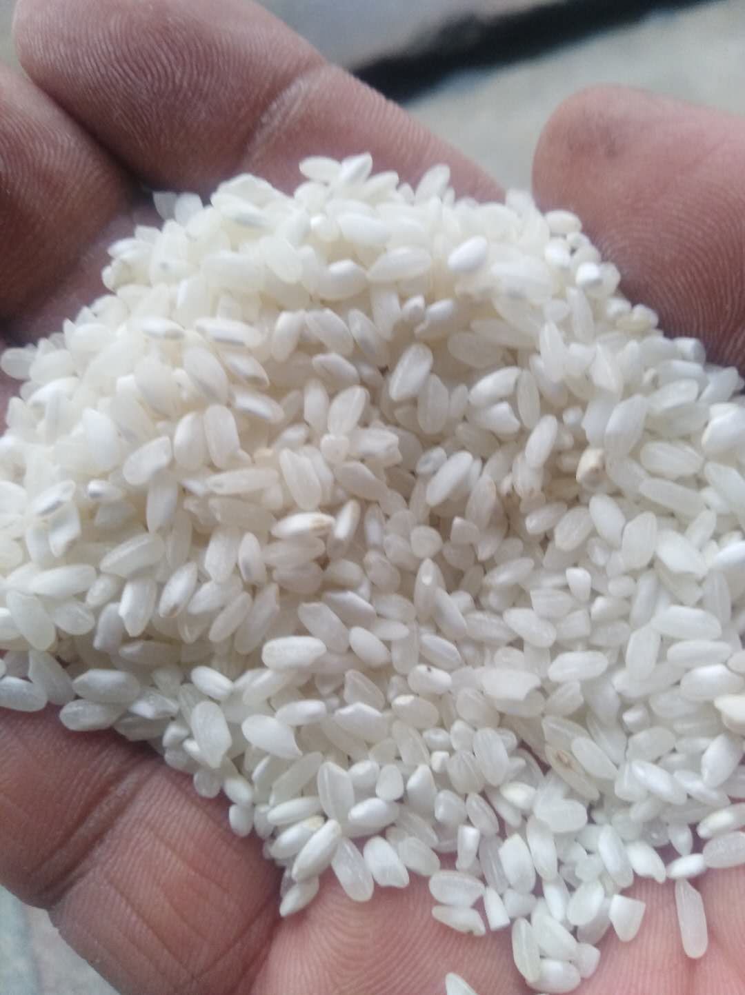桂朝大米 优质桂朝米,用于做米粉,米皮子 168 元/斤