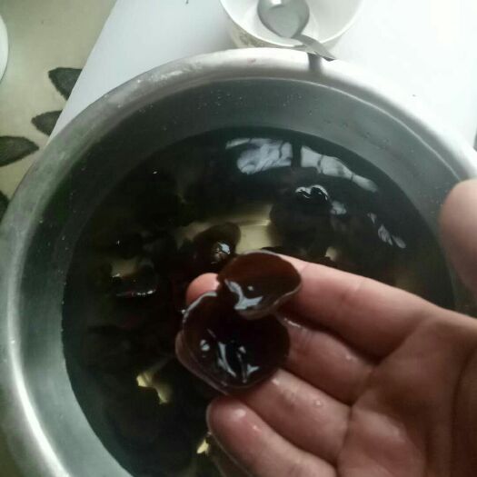 丹东秋木耳 1年以上